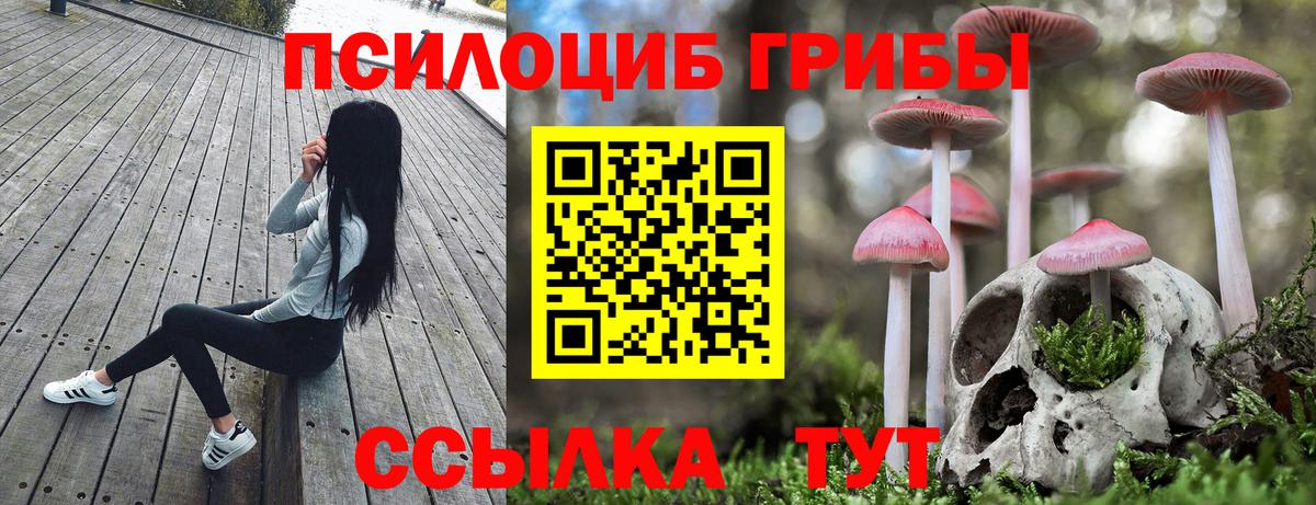 Похвистнево  Галлюциногенные грибы GOLDEN TEACHER  Вход с VPN 